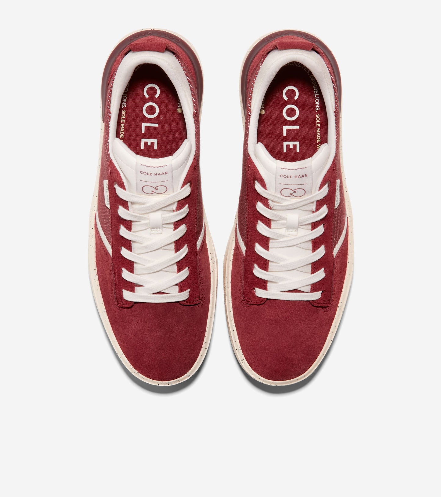 C36752:SYRAH/IVORY