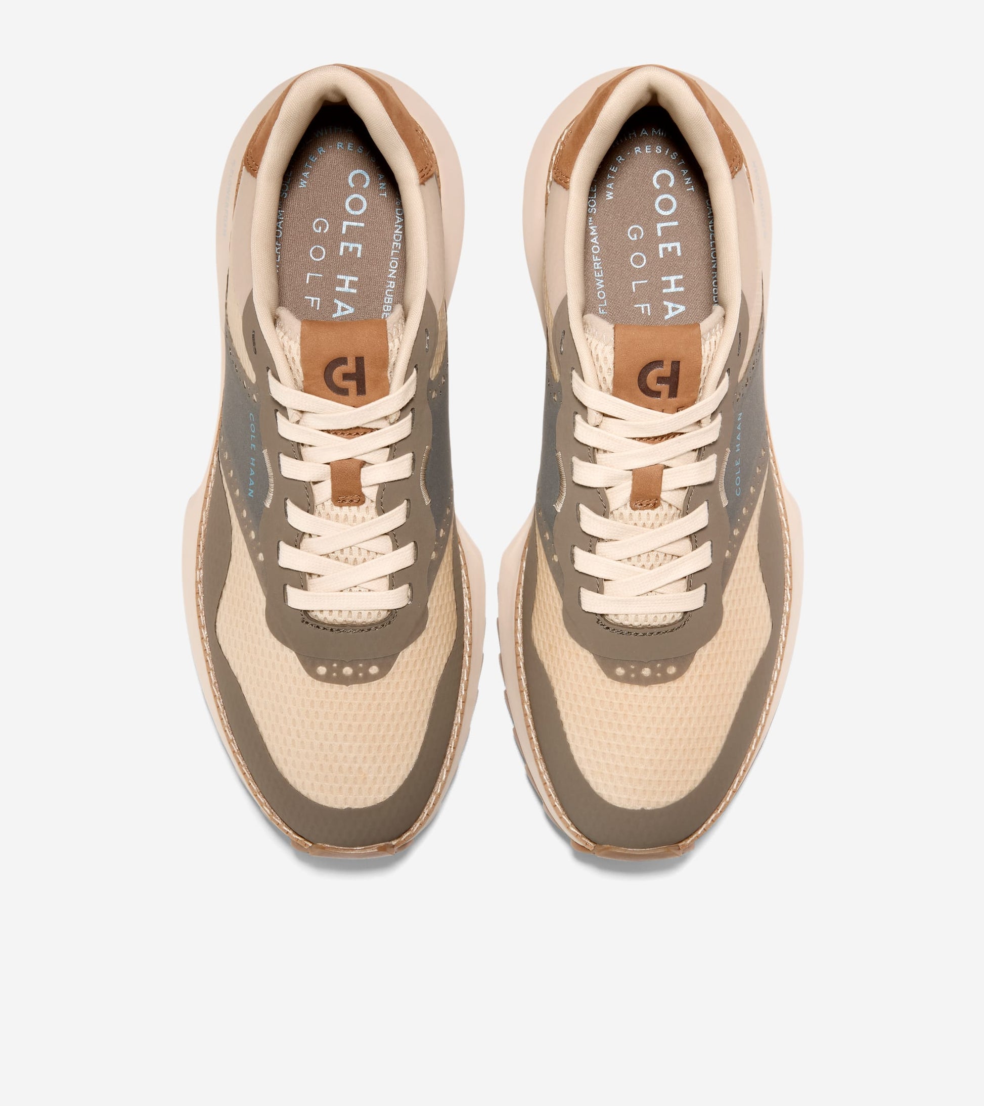 C41193:CH OAT / MOREL / CH OAT WR