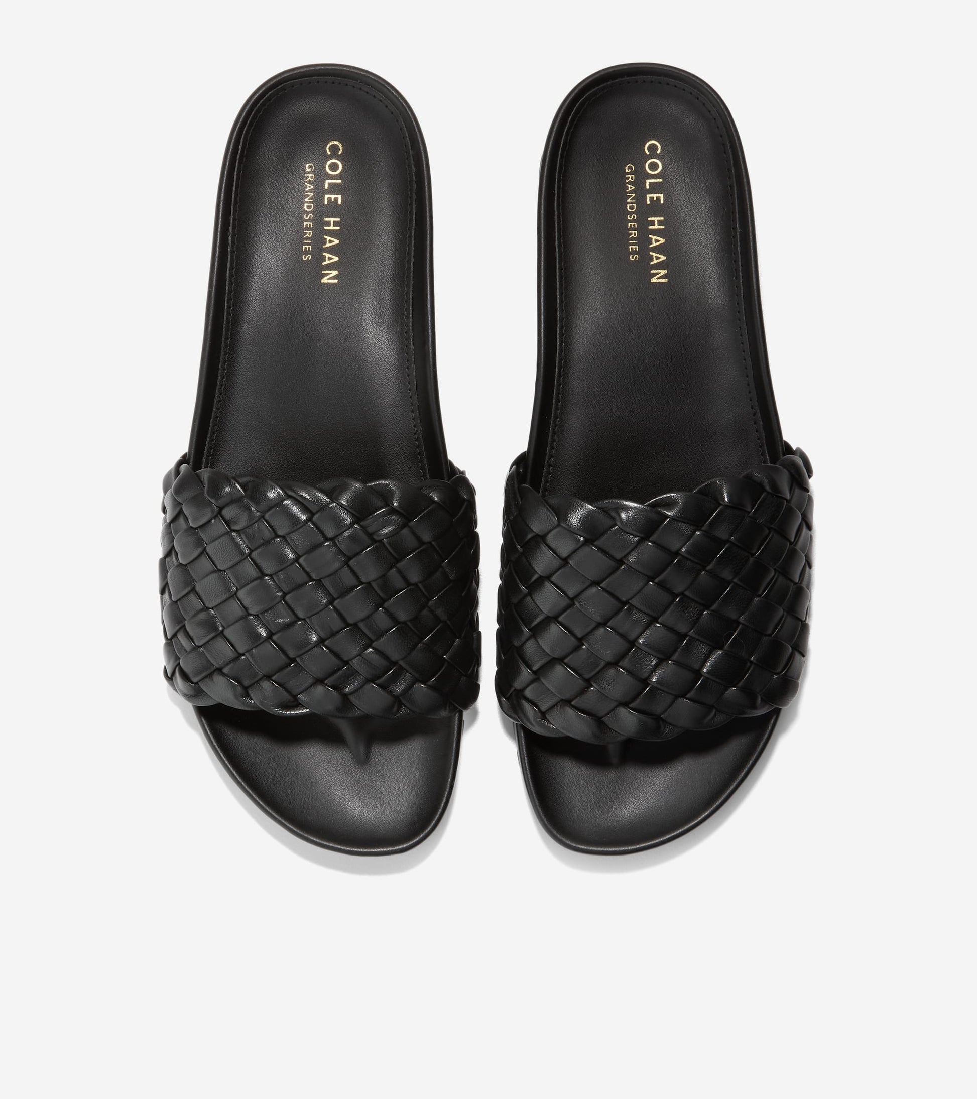 W25883:BLACK LTR