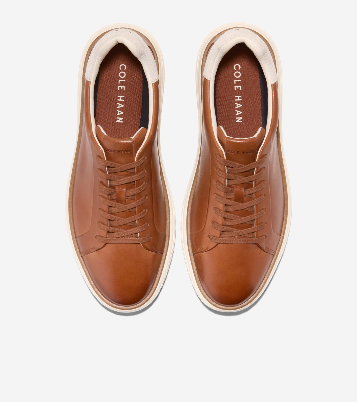 C42302:CH BRITISH TAN / CH DK CHOCOLATE / IVORY